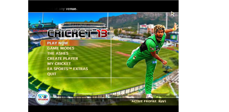 Ashes Cricket 2013 Free Download