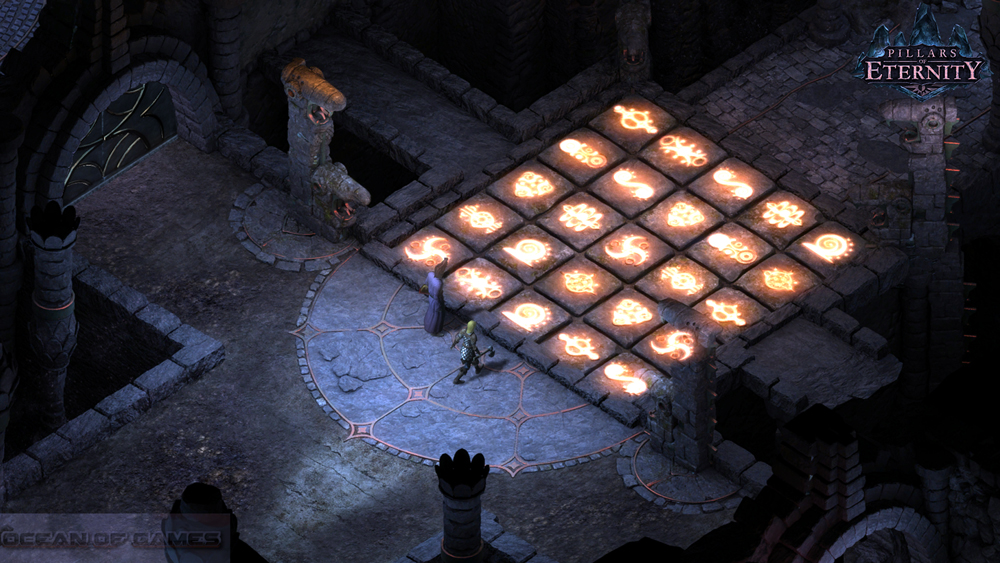 Pillars of Eternity Features