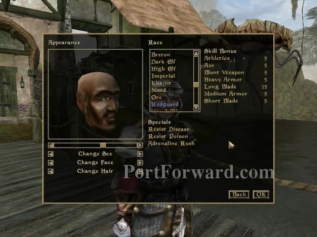 The-Elder-Scrolls-III-Morrowind-Free-Game-Setup