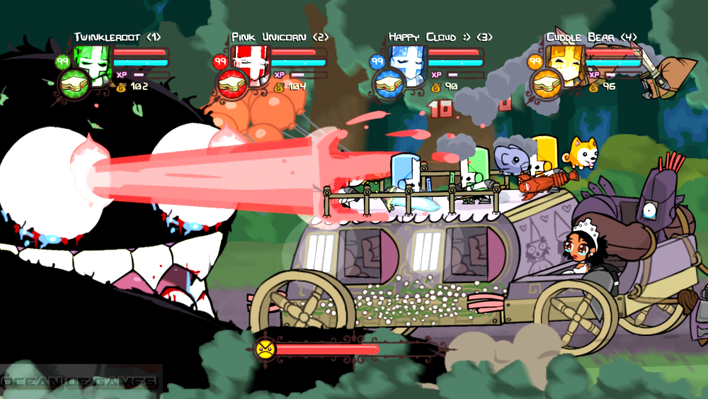 Castle Crashers Features