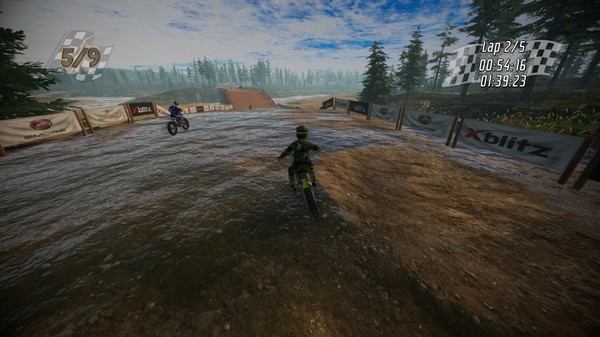 Dirt Bike Insanity Free Download